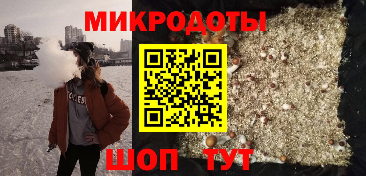 Галлюциногенные грибы прущие грибы  Вход с VPN  Протвино 