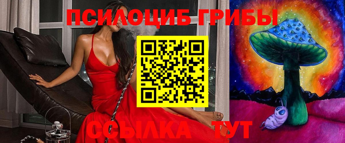 Галлюциногенные грибы Cubensis Протвино